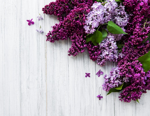 Photo lilac spring flower border