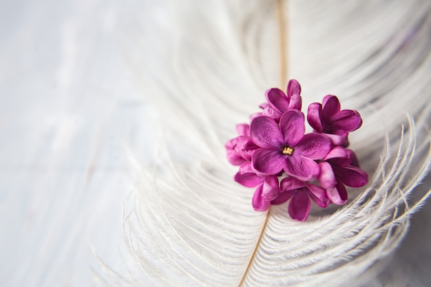 白いダチョウの羽にライラックバイオレットの花5枚の花びらを持つライラック運の花