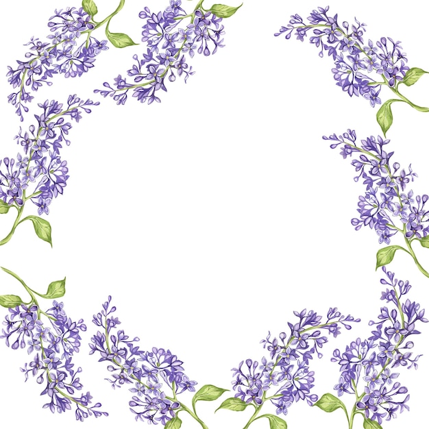 Фото Сиреневая акварель ботаническая иллюстрация сиреневые цветы рамка