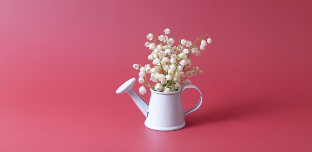Lilies of the valley bouquet in a decorative watering can on a magenta background