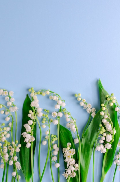 Lilies of the valley on pastel blue