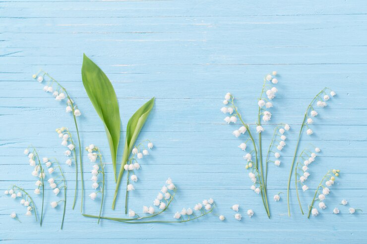 Lilies of the valley on wooden background