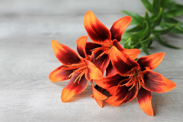 Lilies on a wooden background. Natural background, blooming lily bells, copy spase.