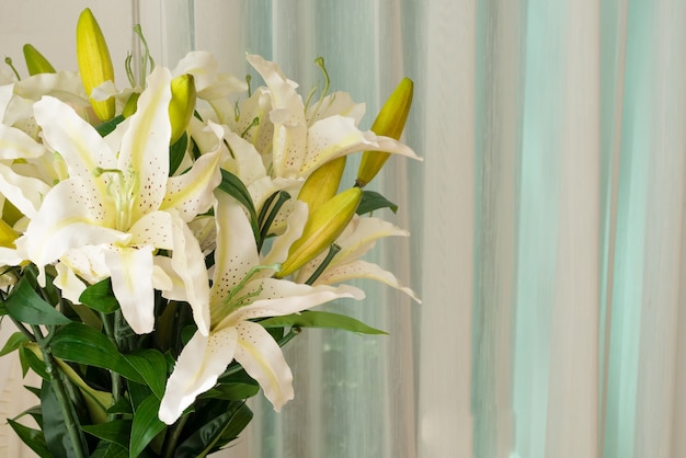 Цветок лилии в вазе рядом с оконной занавеской в гостиной спальне как украшение дизайна интерьера