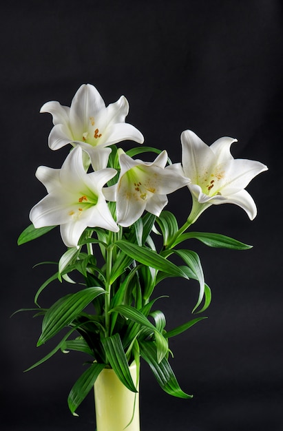 Lily bloemen boeket op zwarte witte bloemen