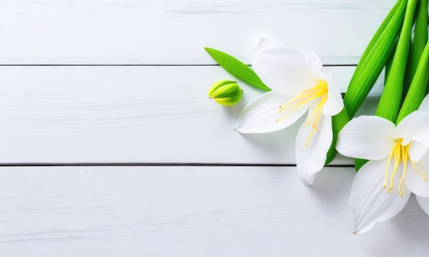 白い木製の背景のリリー花