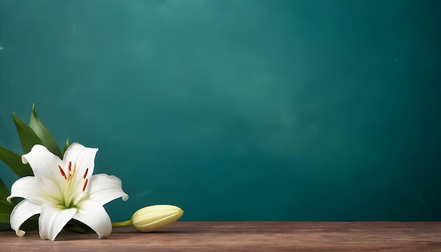 Photo lily on jade green rustic background 3