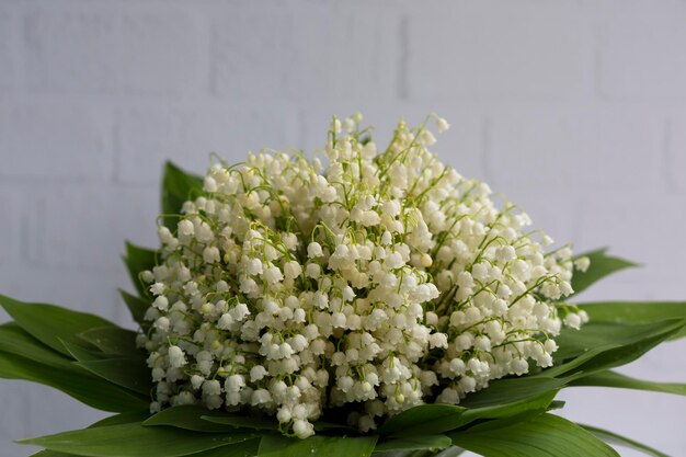 Lily of the valley bloemen Natuurlijke achtergrond met bloeiende lelies van de vallei Selectieve focus