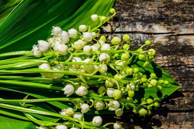 写真 木製の背景の谷のリリーの花 トップビュー