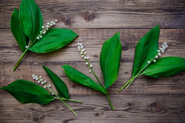 Lily of the valley branches on wooden surface