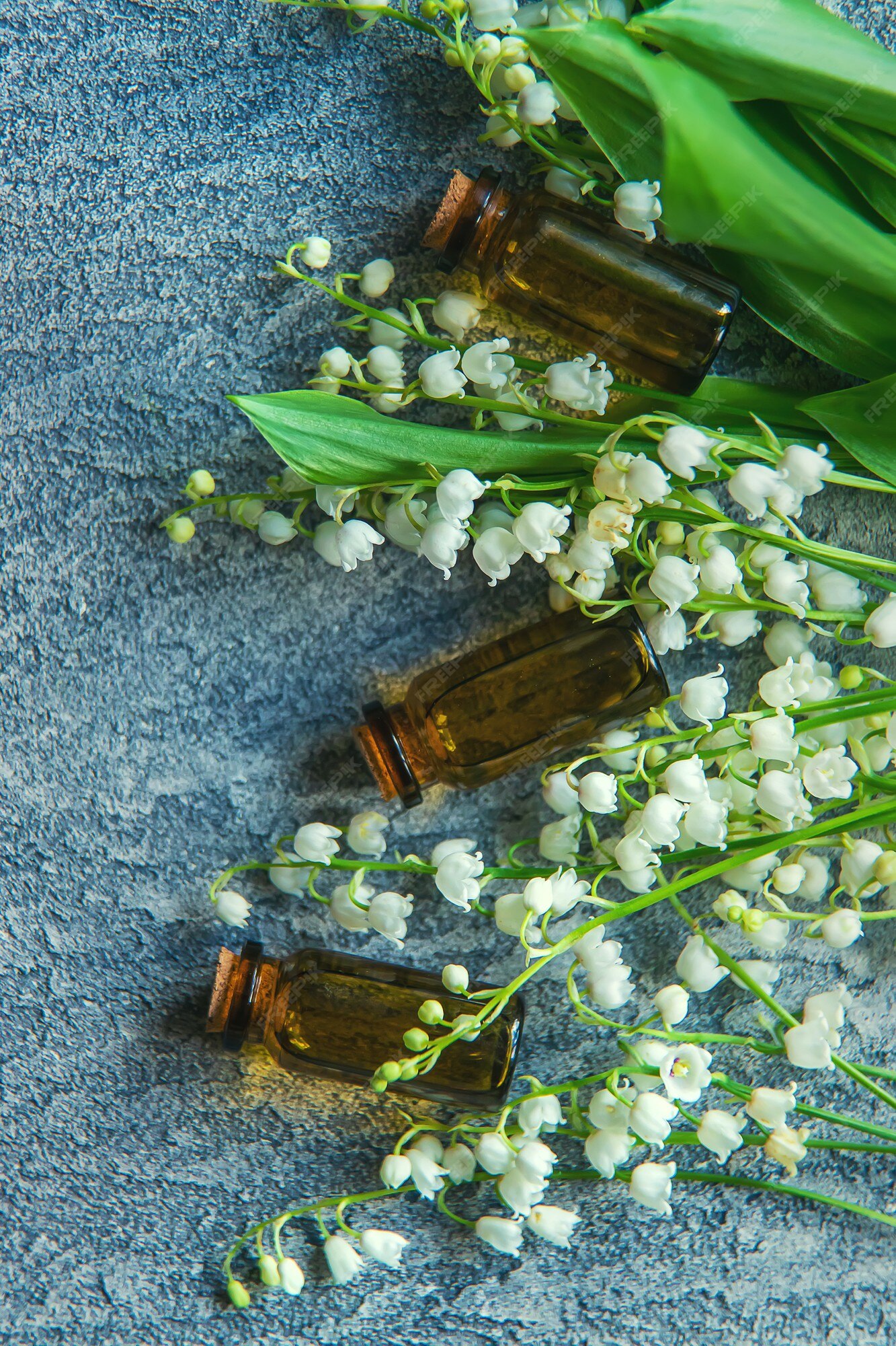 Lilies Of The Valley And Essential Oil In Vial Stock Photo