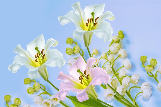 Lily of the valley flower on blue background