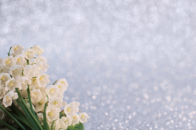 スズランの花は、ライトグレーの背景に選択的に焦点を当ててクローズアップの美しさ