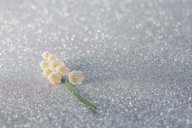 スズランの花は、明るい銀色の背景に選択的に焦点を当ててクローズアップします。自然の概念の美しさ。コピースペースのあるカード。