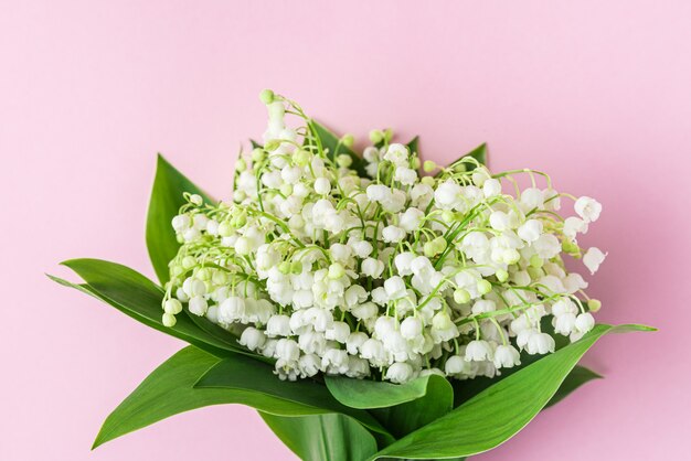 Lily of the valley flowers on a pastel pink