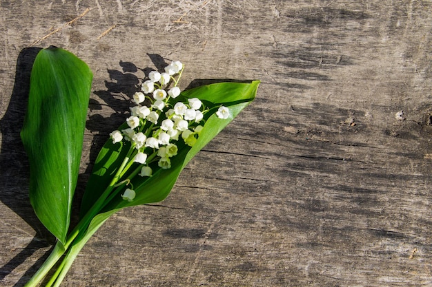 Lily of the valley flowers on wooden background with copy space. Top view