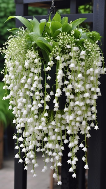 Lily of the valley flowers