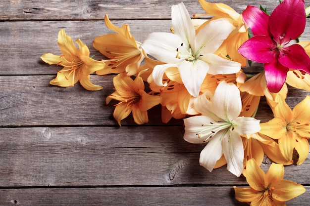 Lily on wooden background