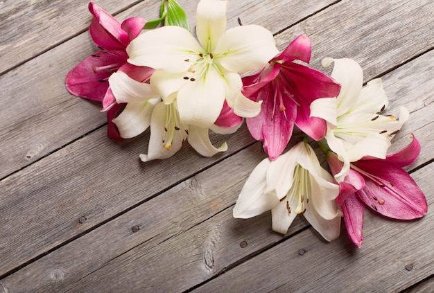 Lily on wooden background