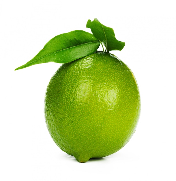 Lime citrus fruit with leaves