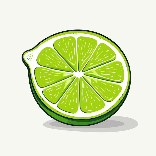 A lime cut in half sits on a white background.