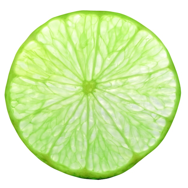 Lime fruit slice