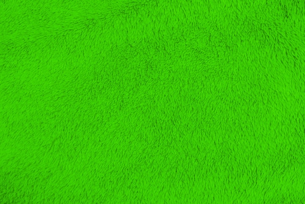 Lime green clean wool texture background light natural sheep
wool green seamless cotton texture