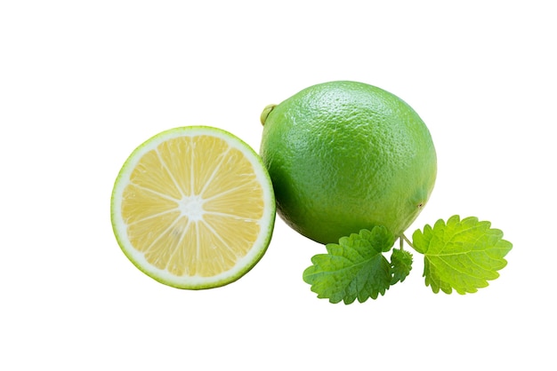 lime and mint close-up on a white background