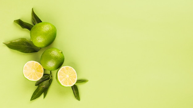 Limes