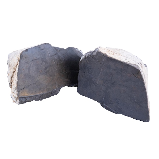 Фото Образец известняковой породы каменный образец