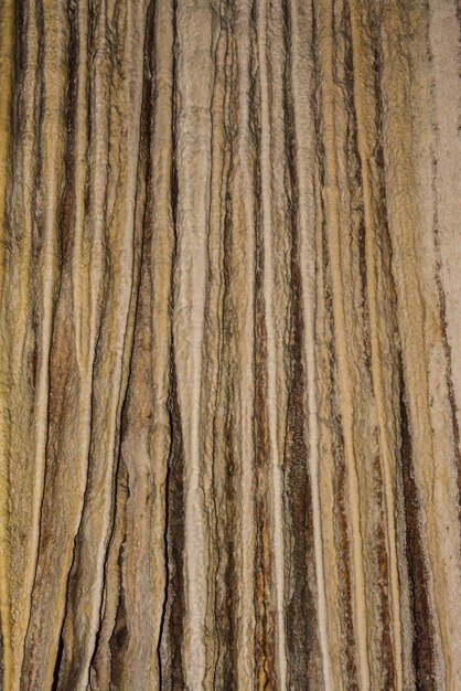 Photo limestone wall in a cave covered with dripstone cheow lan lake khao sok national park thailand