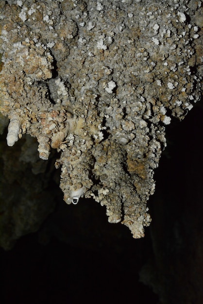 드립스톤 Cheow Lan 호수 Khao Sok National Park 태국으로 덮인 동굴의 석회암 벽