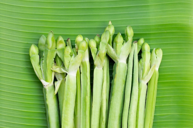 Limnocharis flava on banana leaf