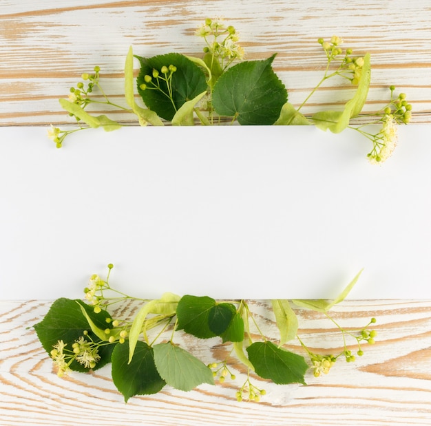 Lindebloemen op houten tafel. Creatieve zomerlay-out over houten tafel. Tilia Blossom plat leggen