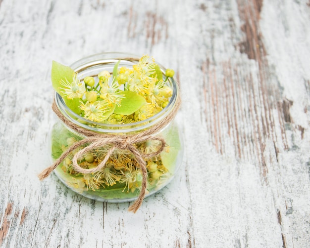 Linden bloemen in een pot