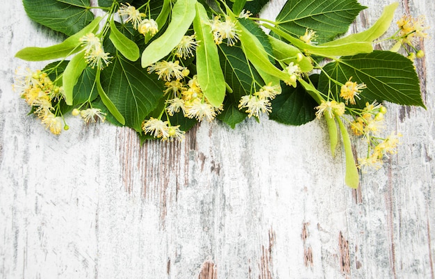 Linden bloemen op de tafel