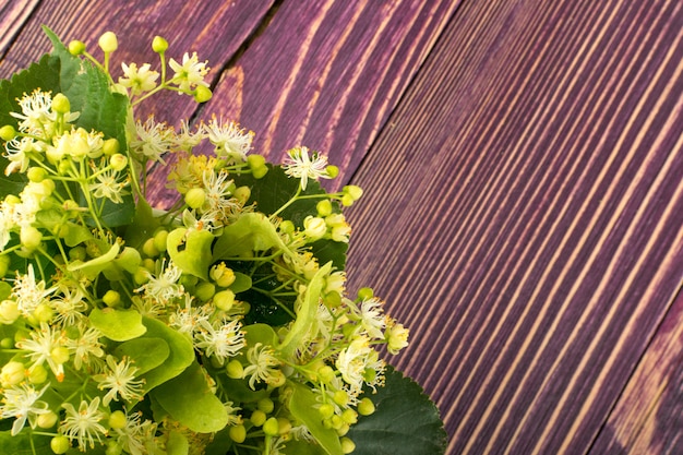 Linden bloemen op houten achtergrond.