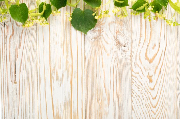 Linden Flowers on Wooden Background.