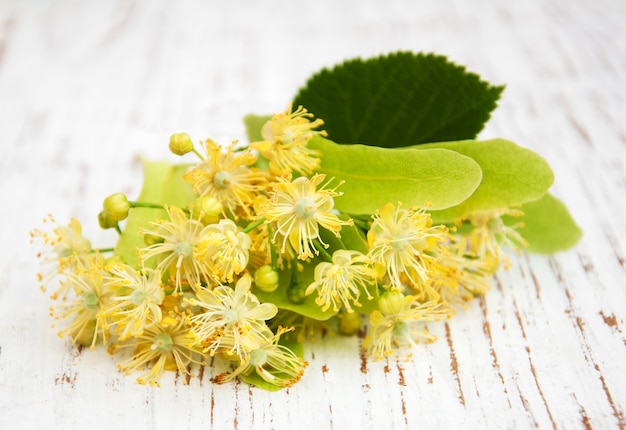 Linden flowers