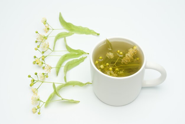 linden tea in a white cup with linden flowers as a healthy diet concept