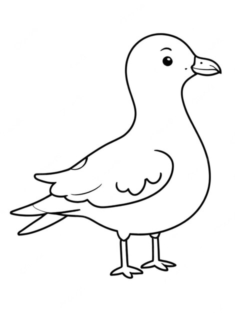 Photo line art outline of a beautiful bird