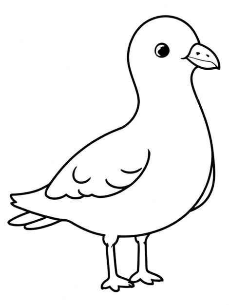 Photo line art outline of a beautiful bird