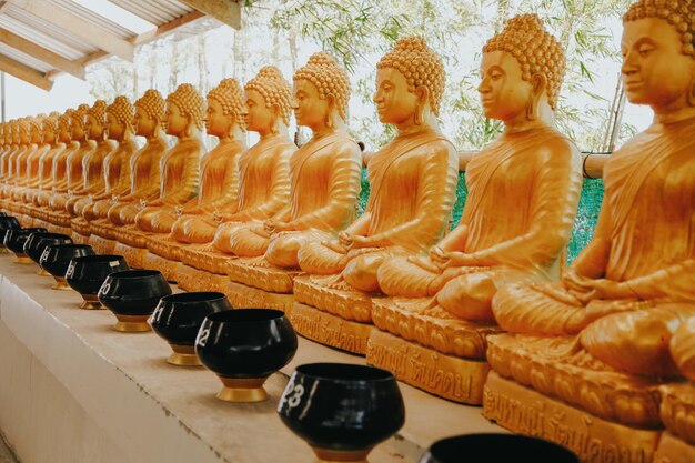 Line of golden statues of buddah in the phra phutta ming mongkol akenakiri in thailand in phuket