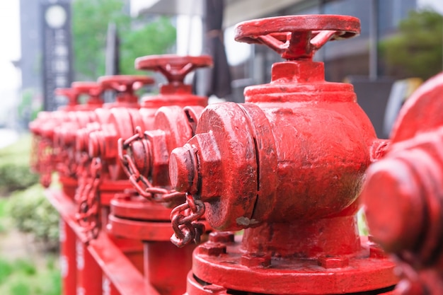 A line of red fire hydrant 