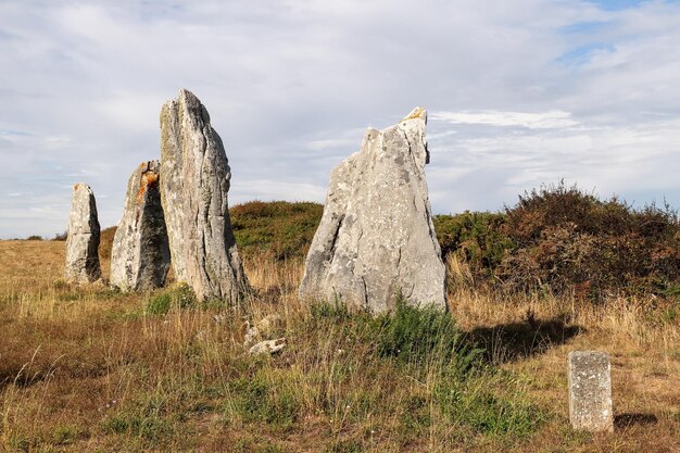 Photo line of the six menhirs of vieux-moulin - old mill - megalithic landmark near plouharnel in brittany