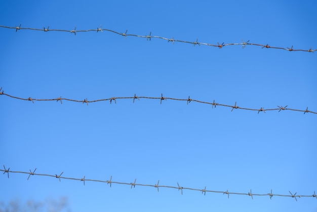 Lines of barbed wire on the background of blue sky