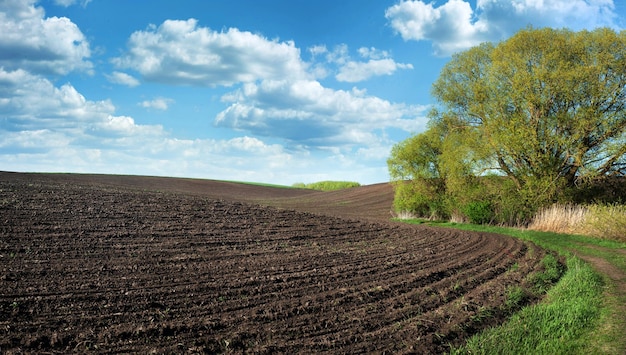 春側の耕作地と緑の木々のライン