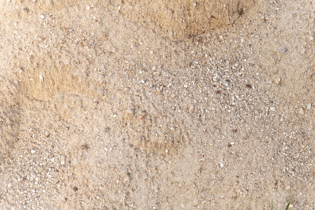 Lines in the sand of a beach