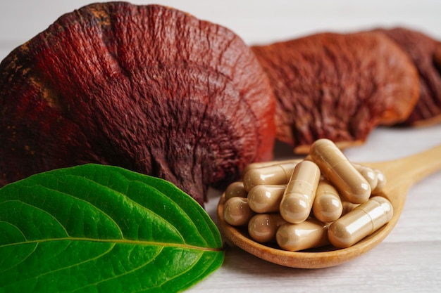 Lingzhi of Reishi-paddenstoel met capsules biologisch natuurlijk gezond voedsel