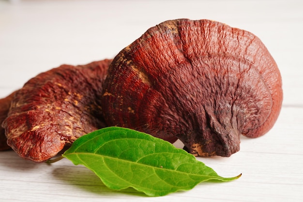 Линчжи или гриб Рейши с капсулами органической натуральной здоровой пищи